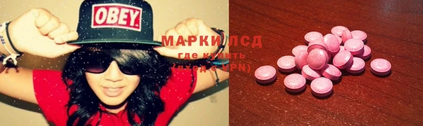 дурь Богданович