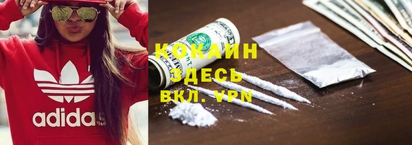 ECSTASY Белокуриха