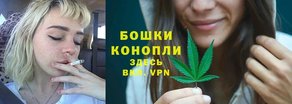 прущие грибы Беломорск