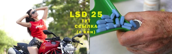 прущие грибы Беломорск