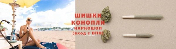 прущие грибы Беломорск