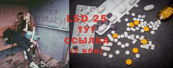 ECSTASY Белокуриха