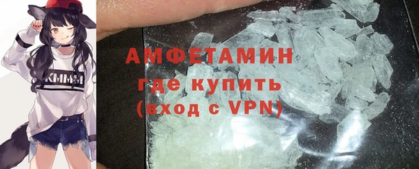 прущие грибы Беломорск