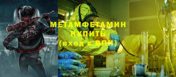 прущие грибы Беломорск