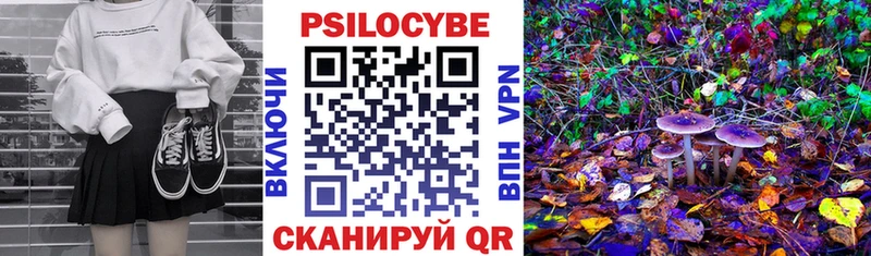 Псилоцибиновые грибы Cubensis кракен маркетплейс Козельск